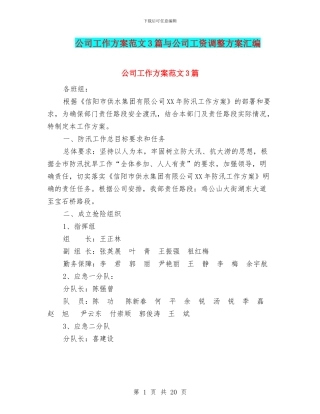 公司工作方案范文3篇与公司工资调整方案汇编