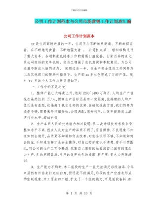 公司工作计划范本与公司市场营销工作计划表汇编
