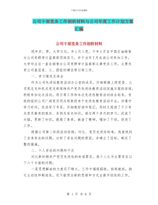 公司干部党务工作剖析材料与公司年度工作计划方案汇编