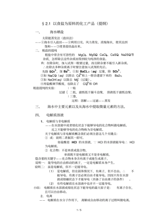 以食盐为原料化工产品提纲