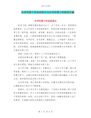 公司年度工作总结范文与公司年度工作报告汇编