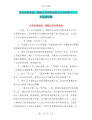 公司年度总结：保险公司年终总结与公司年终个人工作总结汇编