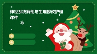 神经系统解剖与生理修改护理课件