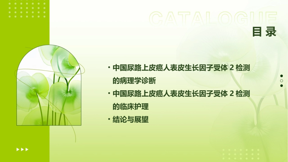 中国尿路上皮癌人表皮生长因子受体2检测临床病理专家共识护理课件_第3页