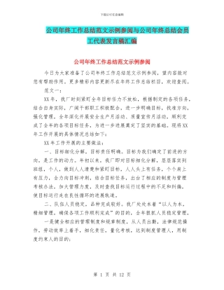 公司年终工作总结范文示例参阅与公司年终总结会员工代表发言稿汇编