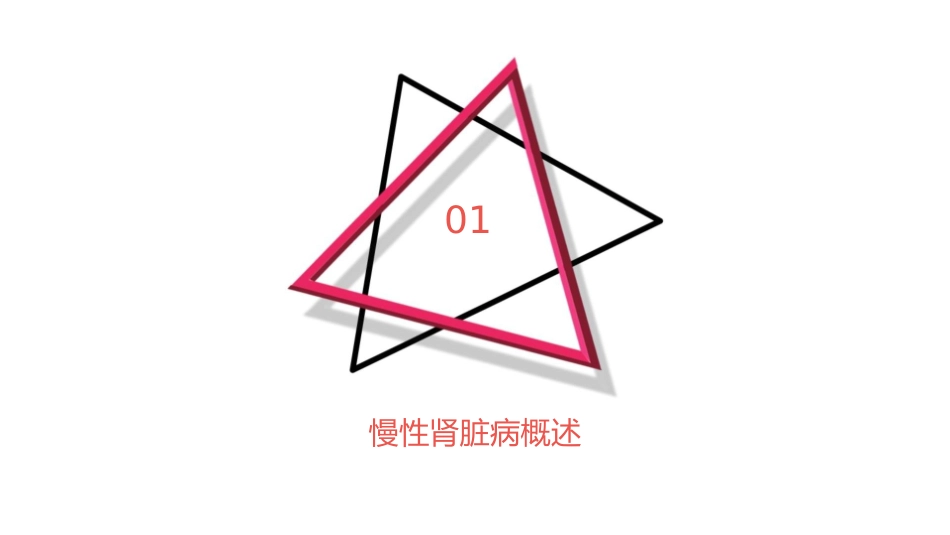 中国慢性肾脏病营养治疗临床实践指南护理课件1_第3页