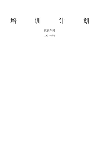 仪表员工培训计划