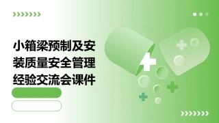 小箱梁预制及安装质量安全管理经验交流会课件