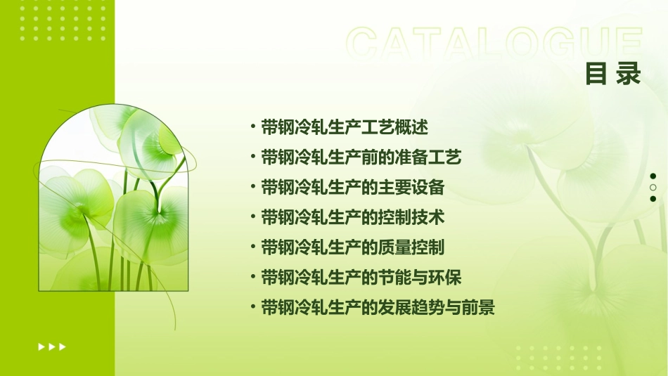 带钢冷轧生产工艺课件_第2页
