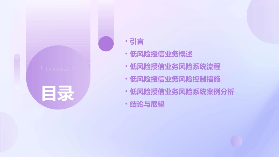 低风险授信业务风险系统流程介绍课件_第2页