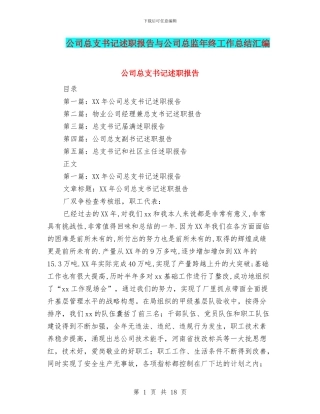 公司总支书记述职报告与公司总监年终工作总结汇编