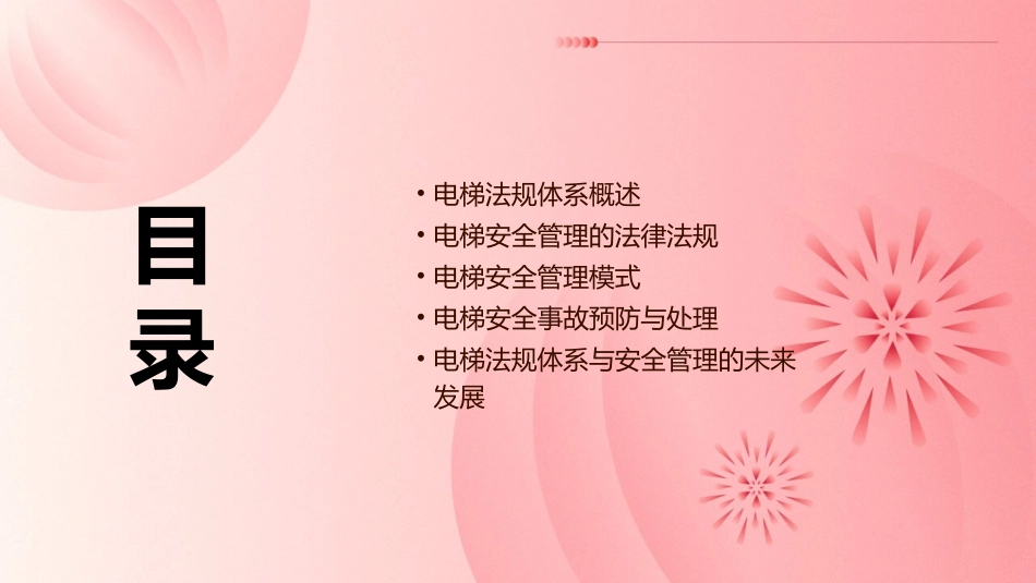 电梯的法规体系与安全管理模式课件_第2页