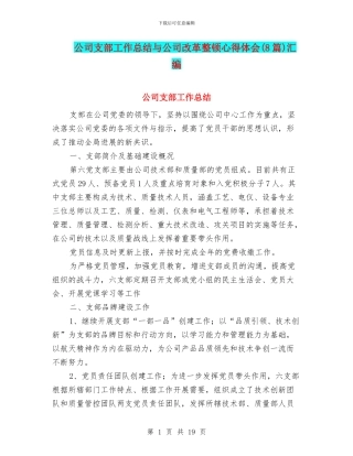 公司支部工作总结与公司改革整顿心得体会汇编