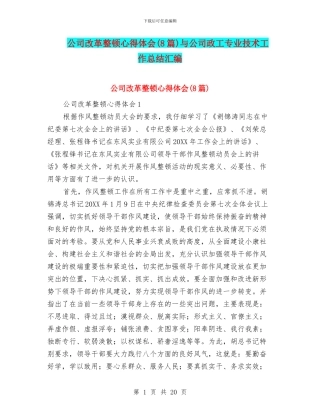 公司改革整顿心得体会与公司政工专业技术工作总结汇编
