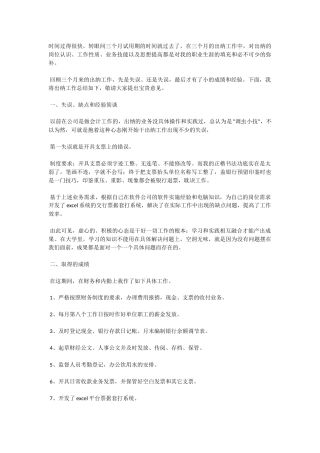 出纳转正工作总结3