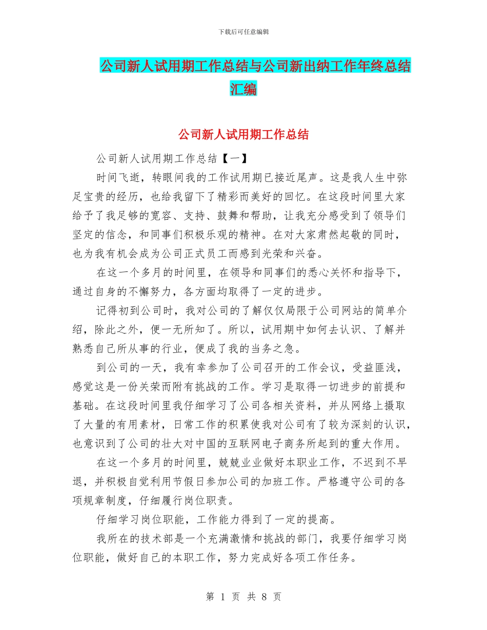 公司新人试用期工作总结与公司新出纳工作年终总结汇编_第1页