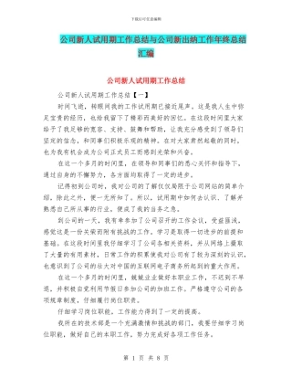公司新人试用期工作总结与公司新出纳工作年终总结汇编