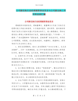 公司新任执行总经理就职表态发言与公司新出纳工作年终总结汇编