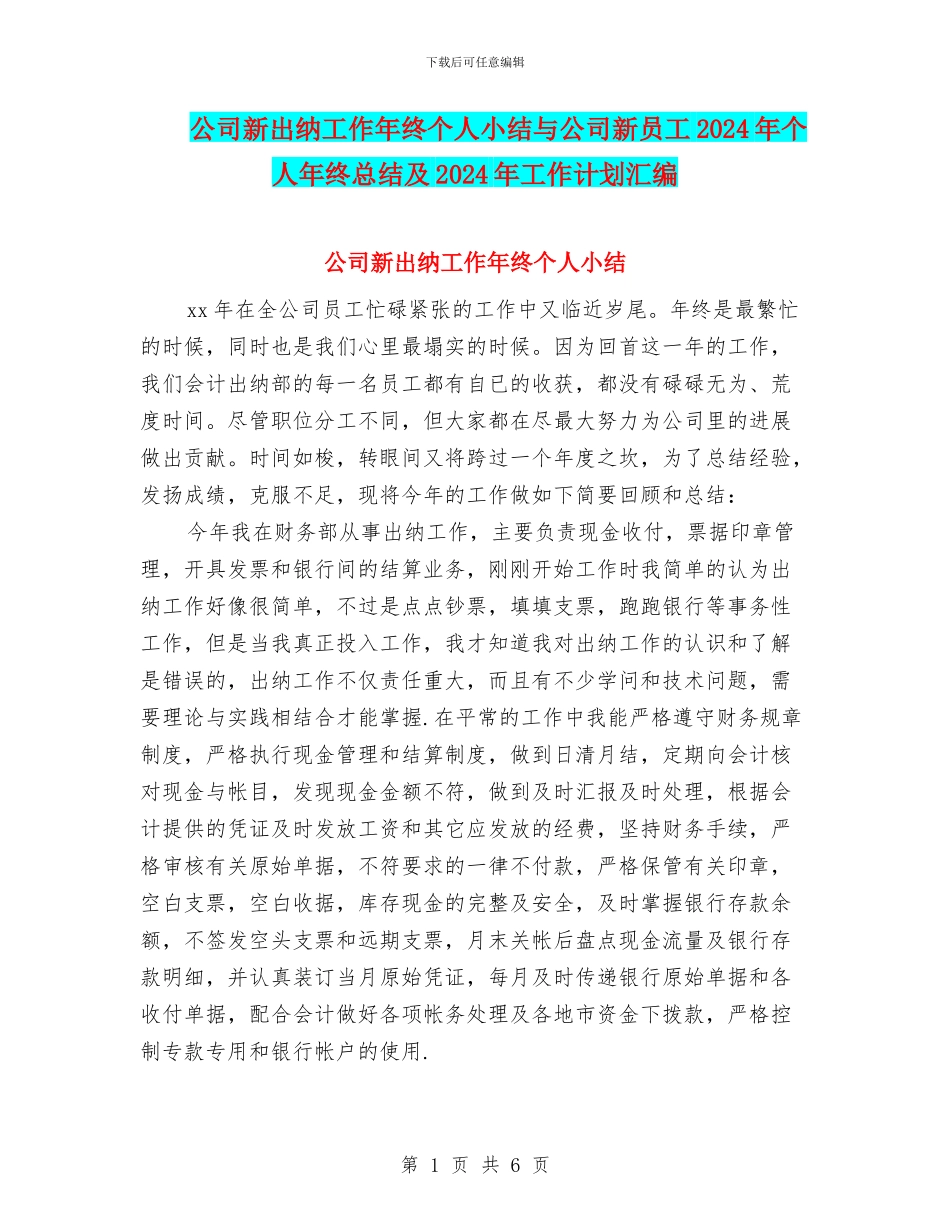 公司新出纳工作年终个人小结与公司新员工2024年个人年终总结及2024年工作计划汇编_第1页