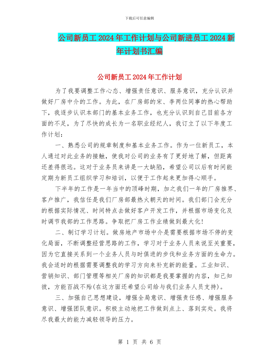 公司新员工2024年工作计划与公司新进员工2024新年计划书汇编_第1页