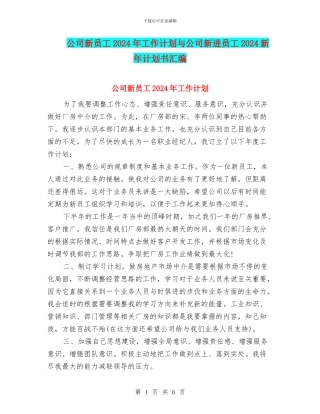 公司新员工2024年工作计划与公司新进员工2024新年计划书汇编