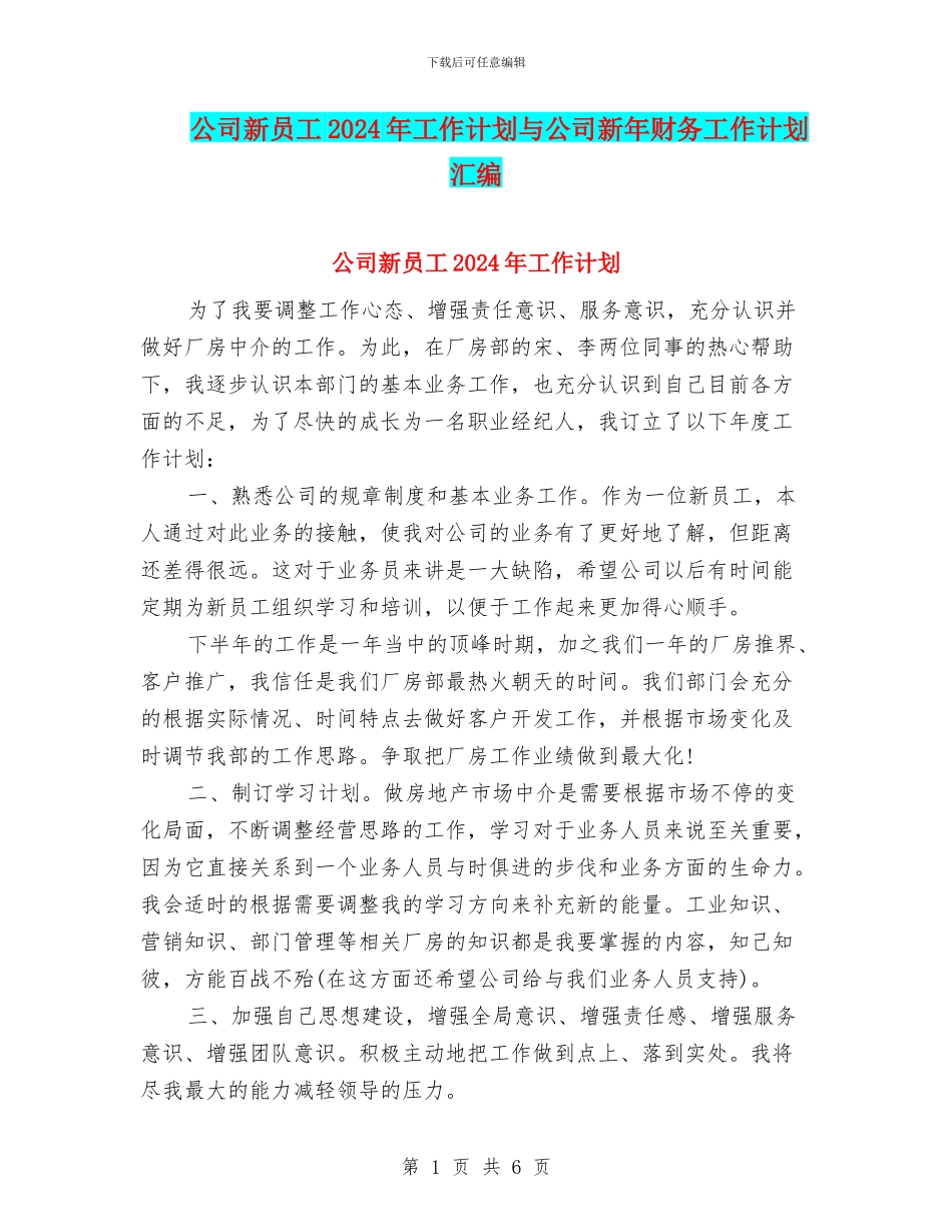 公司新员工2024年工作计划与公司新年财务工作计划汇编_第1页