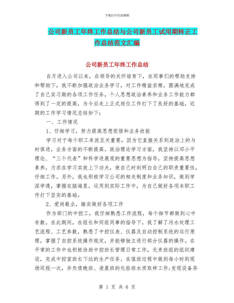 公司新员工年终工作总结与公司新员工试用期转正工作总结范文汇编_第1页
