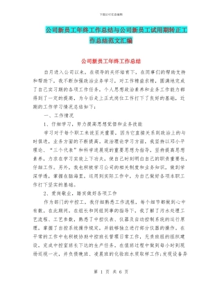 公司新员工年终工作总结与公司新员工试用期转正工作总结范文汇编