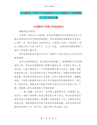 公司新员工年终工作总结范文与公司新员工试用期转正工作总结汇编