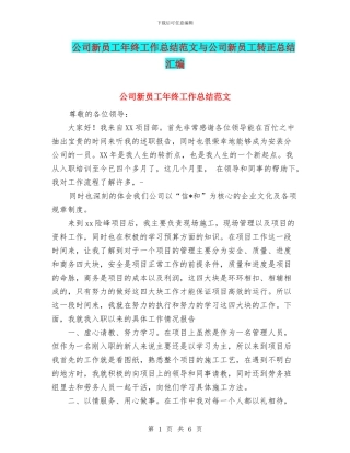 公司新员工年终工作总结范文与公司新员工转正总结汇编