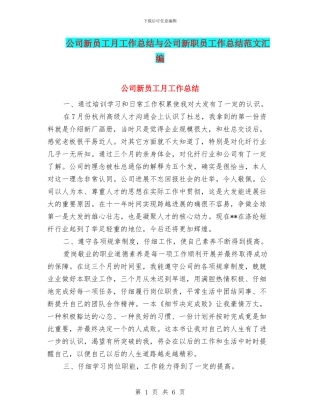 公司新员工月工作总结与公司新职员工作总结范文汇编