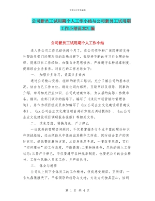 公司新员工试用期个人工作小结与公司新员工试用期工作小结范本汇编