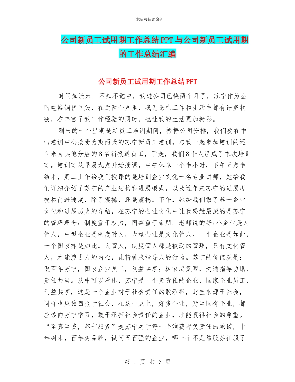 公司新员工试用期工作总结PPT与公司新员工试用期的工作总结汇编_第1页