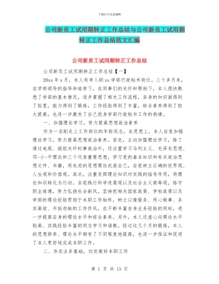 公司新员工试用期转正工作总结与公司新员工试用期转正工作总结范文汇编