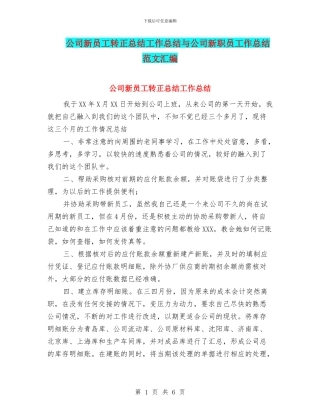 公司新员工转正总结工作总结与公司新职员工作总结范文汇编