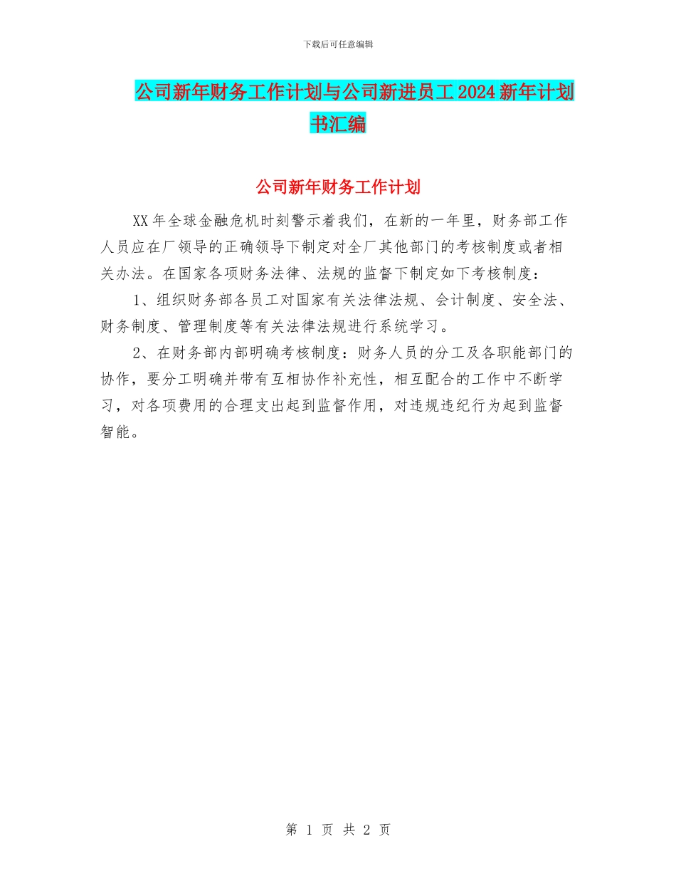 公司新年财务工作计划与公司新进员工2024新年计划书汇编_第1页