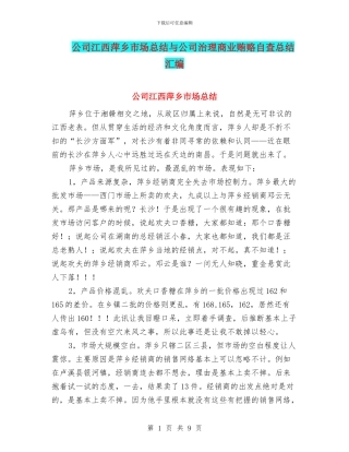 公司江西萍乡市场总结与公司治理商业贿赂自查总结汇编