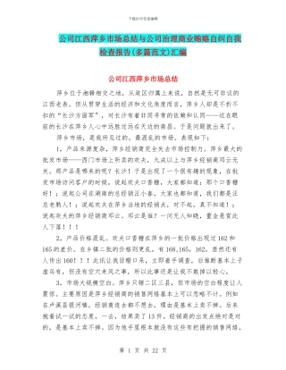 公司江西萍乡市场总结与公司治理商业贿赂自纠自我检查报告汇编