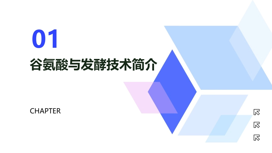 谷氨酸发酵技术创新与发展趋势课件_第3页