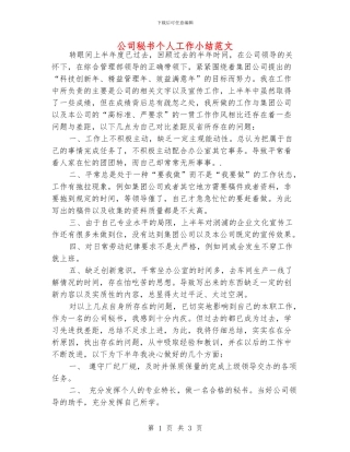 公司秘书个人工作小结范文