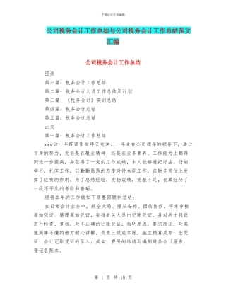 公司税务会计工作总结与公司税务会计工作总结范文汇编