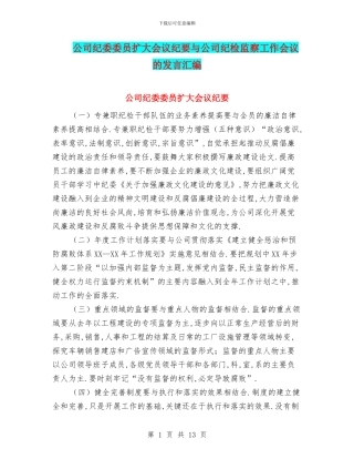 公司纪委委员扩大会议纪要与公司纪检监察工作会议的发言汇编