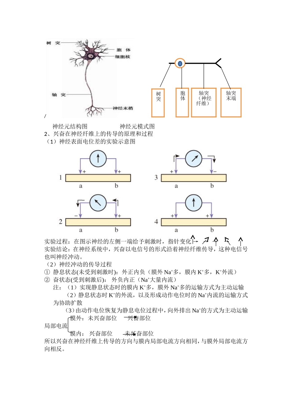 21通过神经系统的调节_第2页