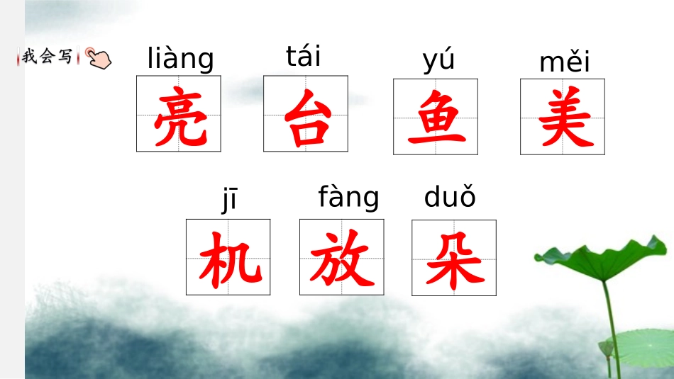 13荷叶圆圆_第3页