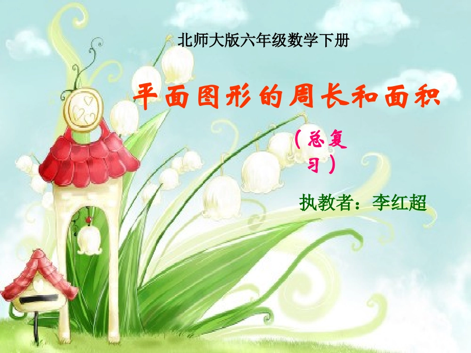 《平面图形的周长与面积》总复习_第1页