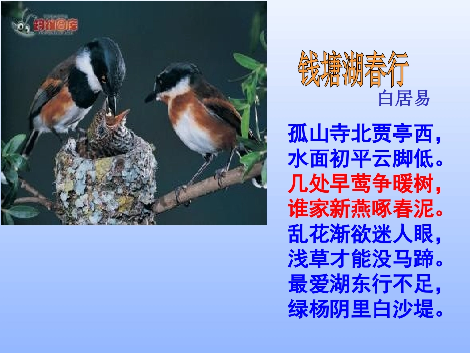 第1节动物的生殖_第1页