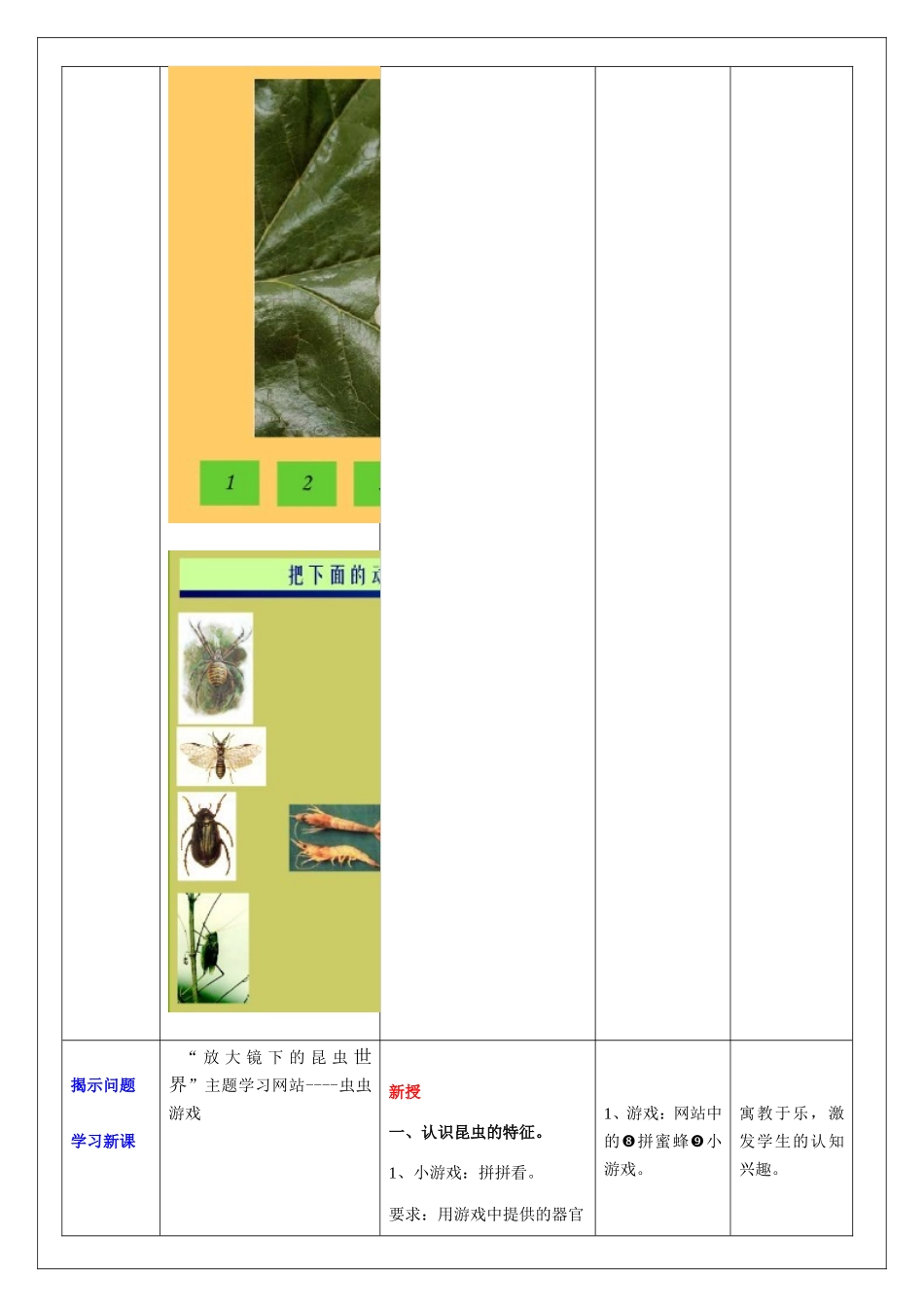 《放大镜下的昆虫》教学设计方案_第3页