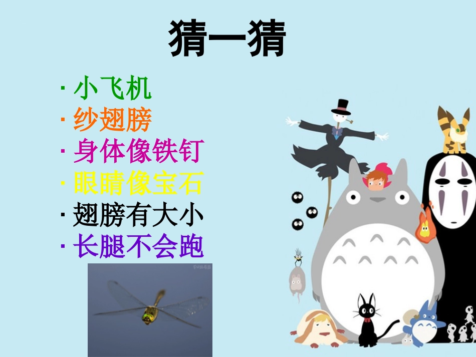 第9课蜻蜓飞飞_第1页