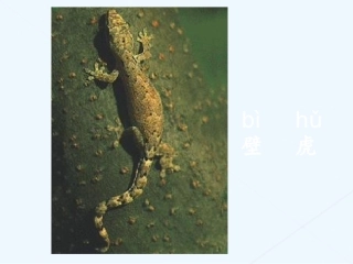 (部编)人教语文2011课标版一年级下册21小壁虎借尾巴-(3)