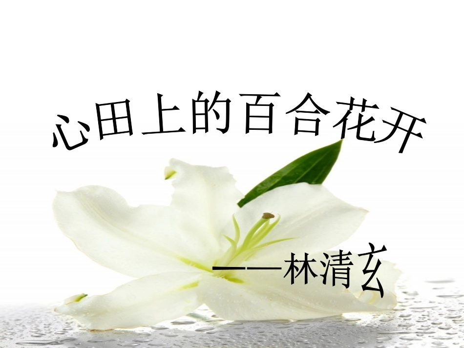 心田上的百合花开课件_第2页